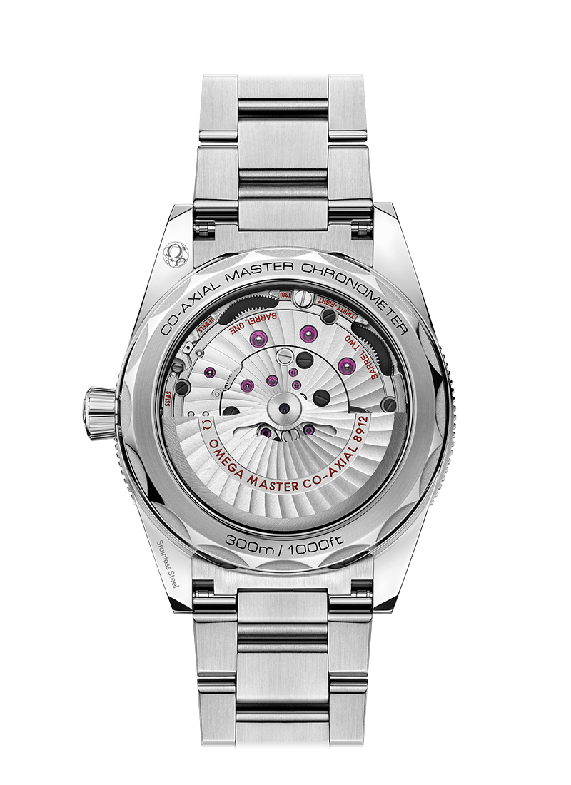 SEAMASTER 300 COAXIAL MASTER CHRONOMETER 41 MM 234.30.41.21.03.001