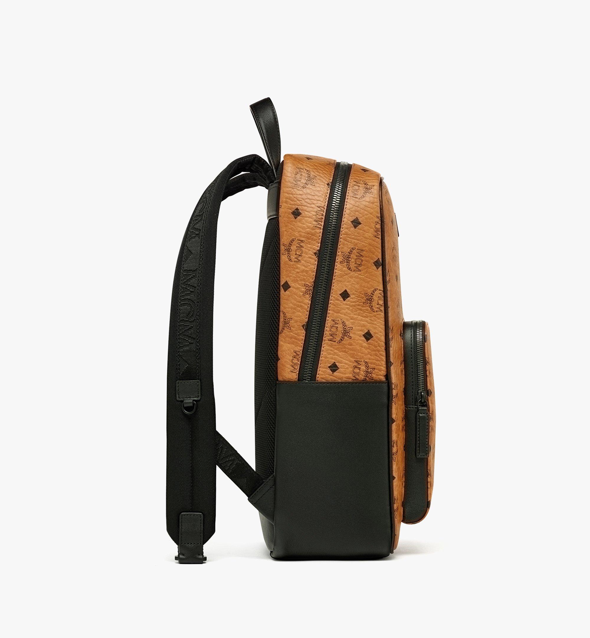 AREN BACKPACK IN VISETOS