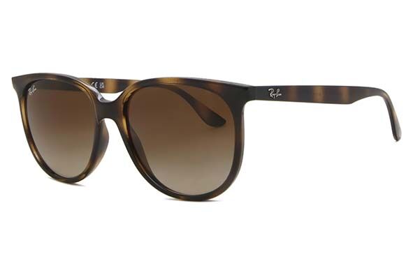 Ray-Ban RB4378 710/13