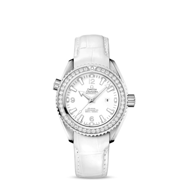 Seamaster Ref. # 232.18.38.20.04.001