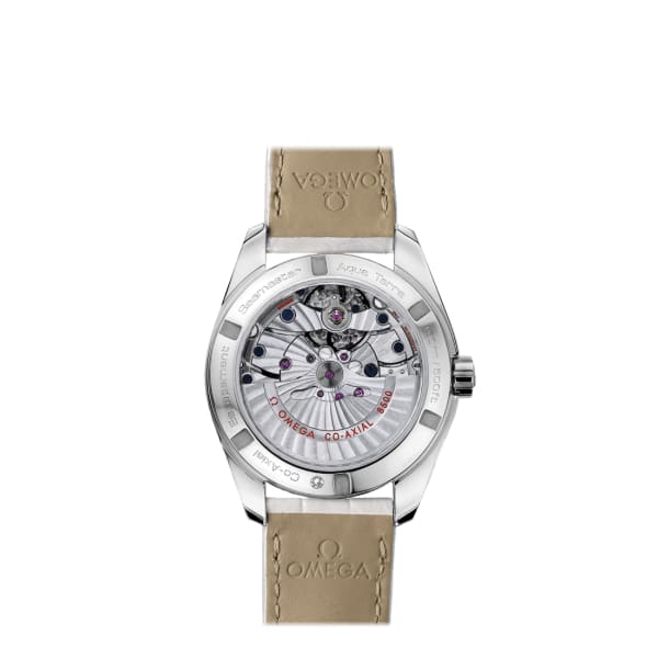 Seamaster Ref. # 231.13.39.21.55.001