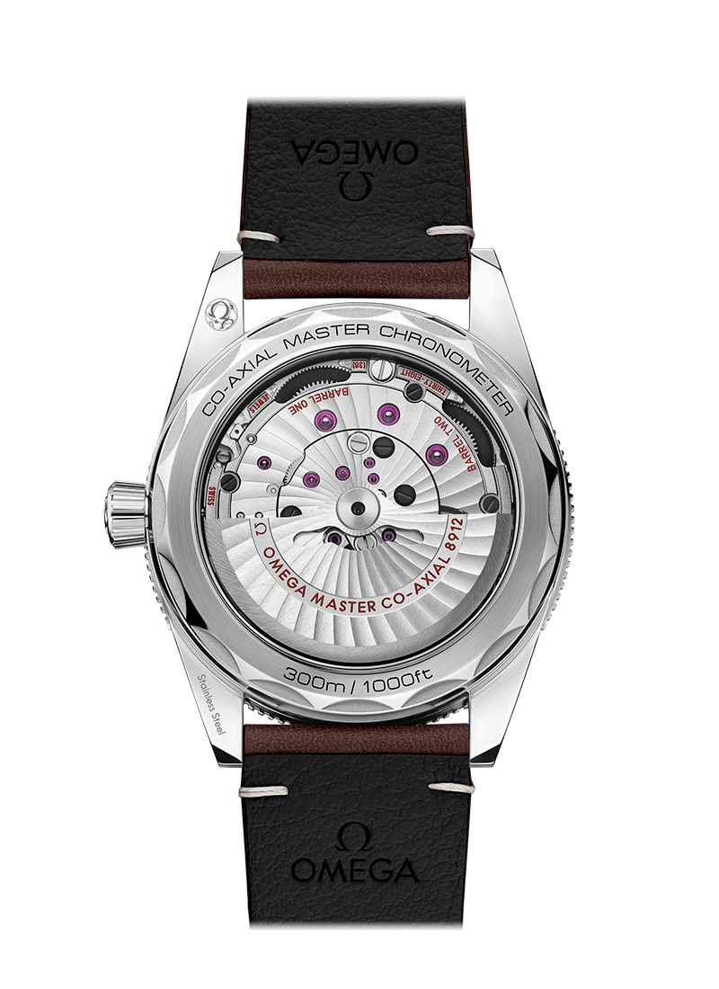 SEAMASTER 300 COAXIAL MASTER CHRONOMETER 41 MM 234.32.41.21.01.001