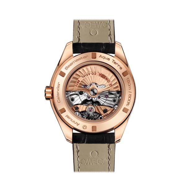 Seamaster Ref. # 231.53.43.22.06.001