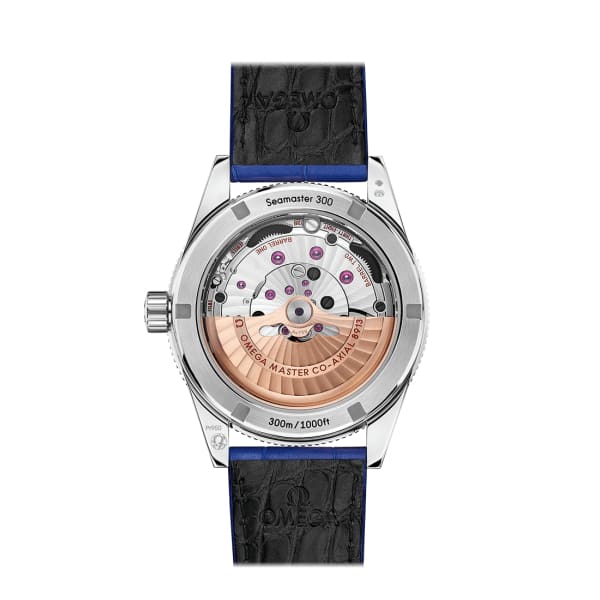 Seamaster Ref. # 234.93.41.21.99.002