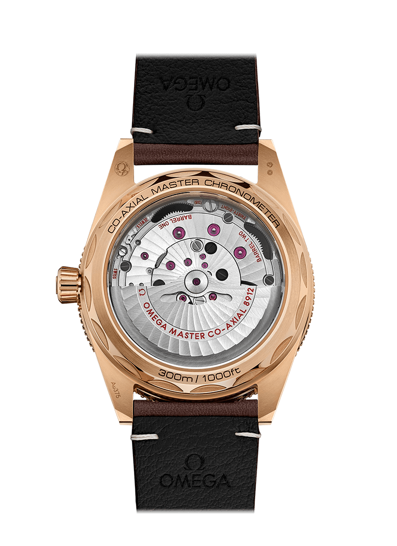 SEAMASTER 300 COAXIAL MASTER CHRONOMETER 41 MM 234.92.41.21.10.001