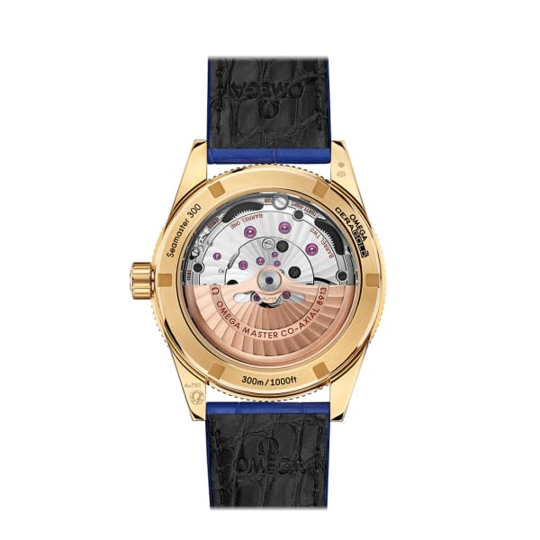 Seamaster Ref. # 234.63.41.21.99.002