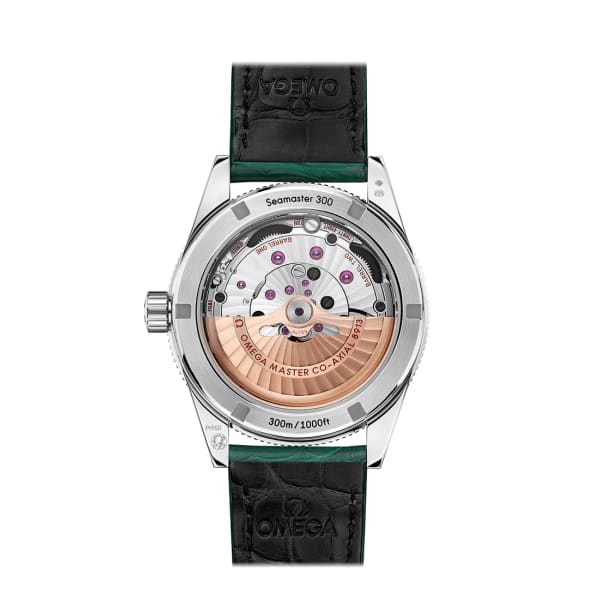 Seamaster Ref. # 234.93.41.21.99.001