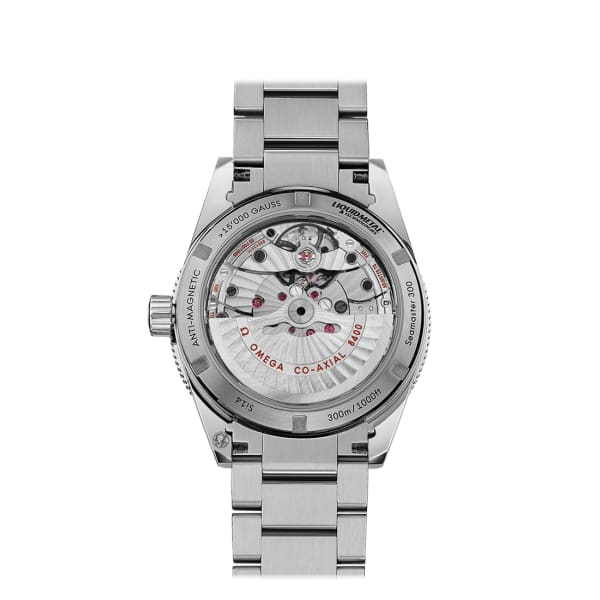 Seamaster Ref. # 233.30.41.21.01.001