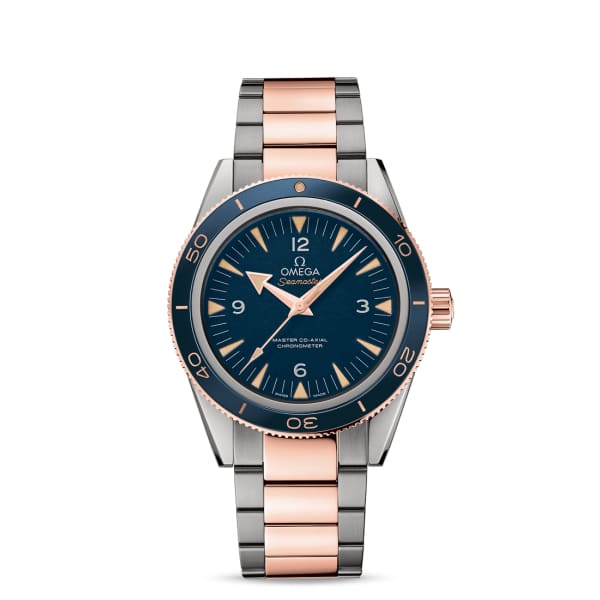 Seamaster Ref. # 233.60.41.21.03.001