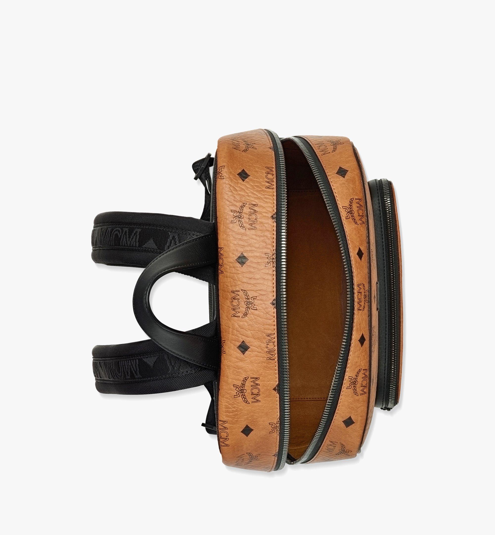 AREN BACKPACK IN VISETOS