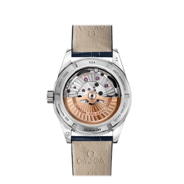 Seamaster Ref. # 233.93.41.21.03.001