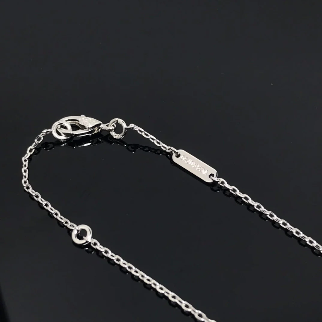 [Van Cleef & Arpels] PIETERSITE SILVER LONG NECKLACE