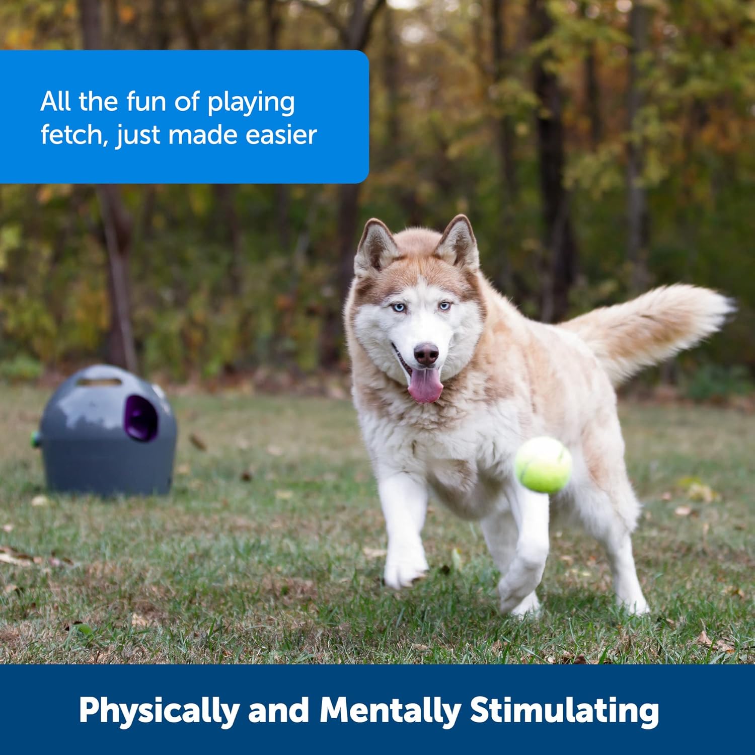 PetSafe Automatic Ball Launcher - Interactive Dog Toy for Enrichment - Tennis Balls Included