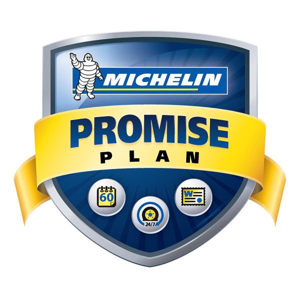Michelin Latitude Tour All-Season P225/65R17 100T Tire