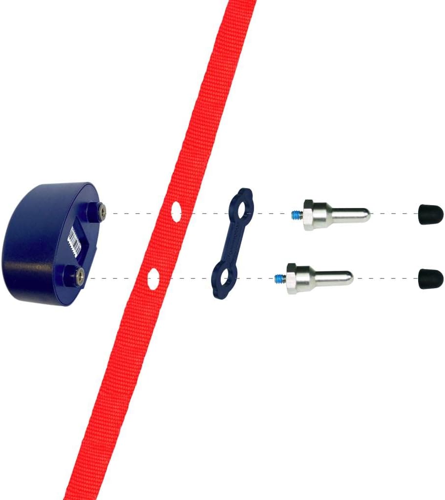 Extreme Dog Fence Additional Standard Fence Dog Collar with Large and Medium Set