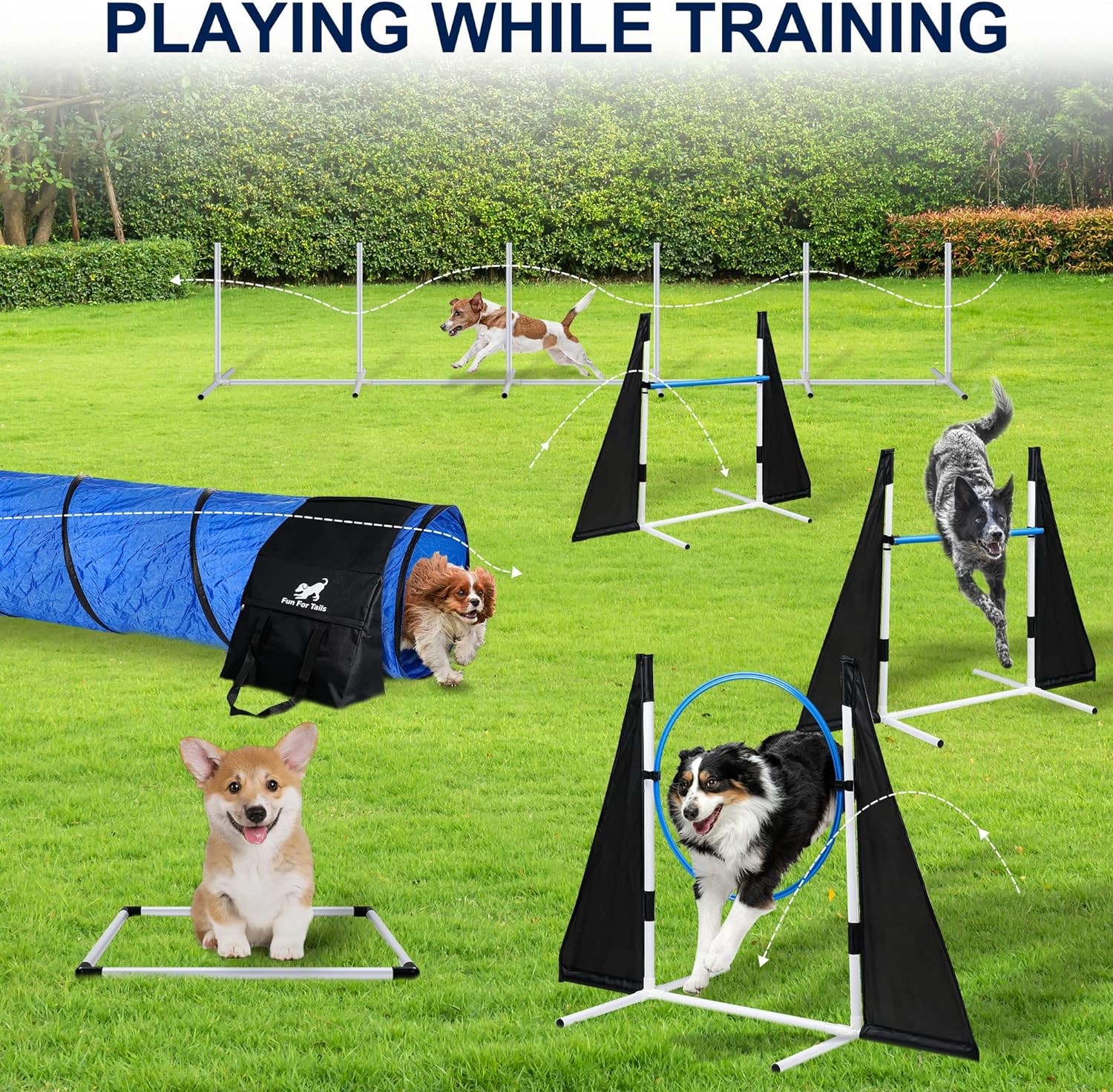 Fun For Tails Premium Dog Agility Training Equipment - Build Any Dog Agility Course