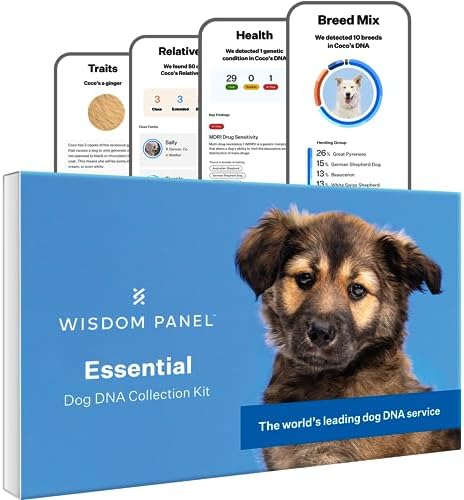 Wisdom Panel Essential Dog DNA Kit: Most Accurate Test for 365+ Breeds  30 Genetic Health Conditions  50+ Traits  Relatives  Ancestry – 1 Pack