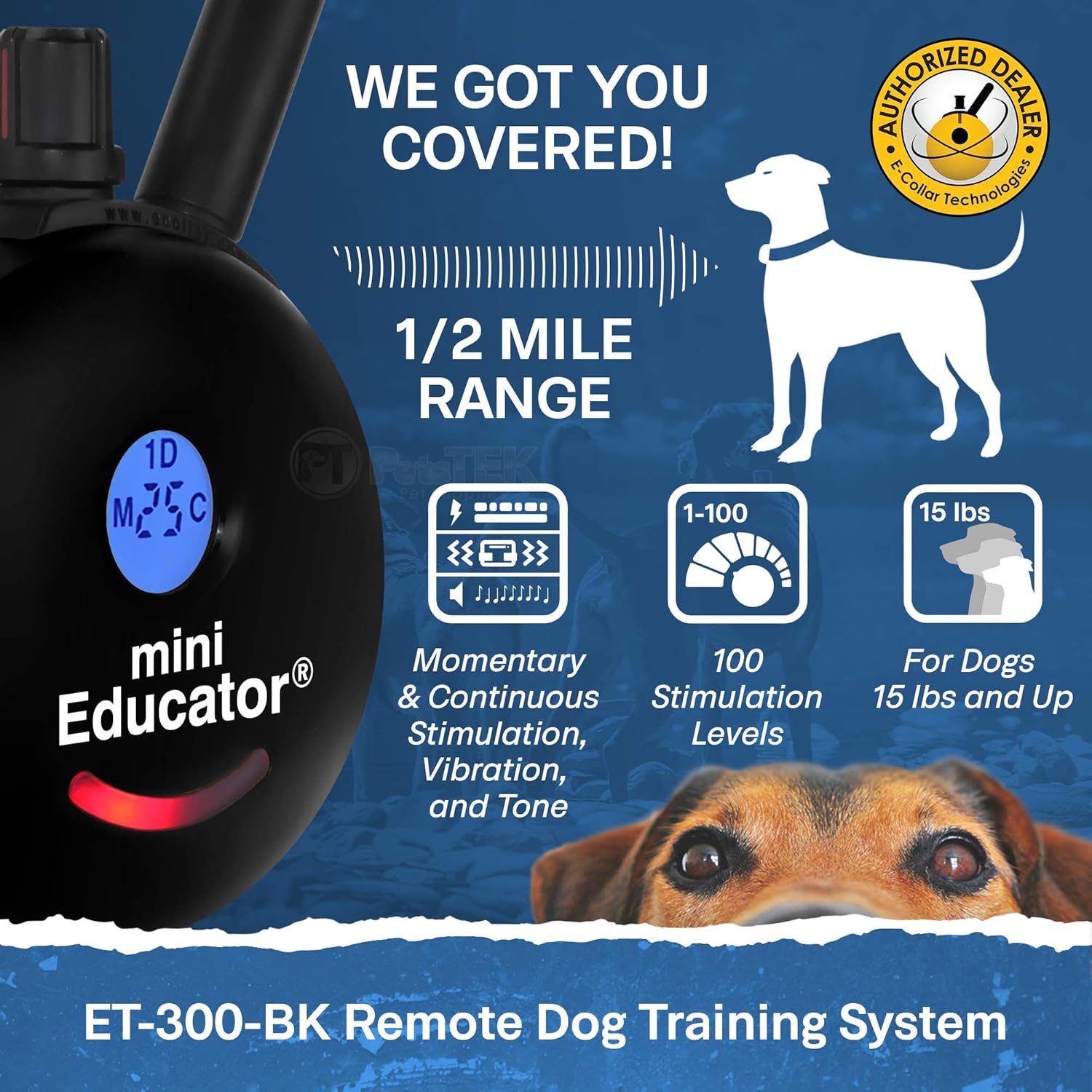 Educator Waterproof Rechargeable Dog Training Collar