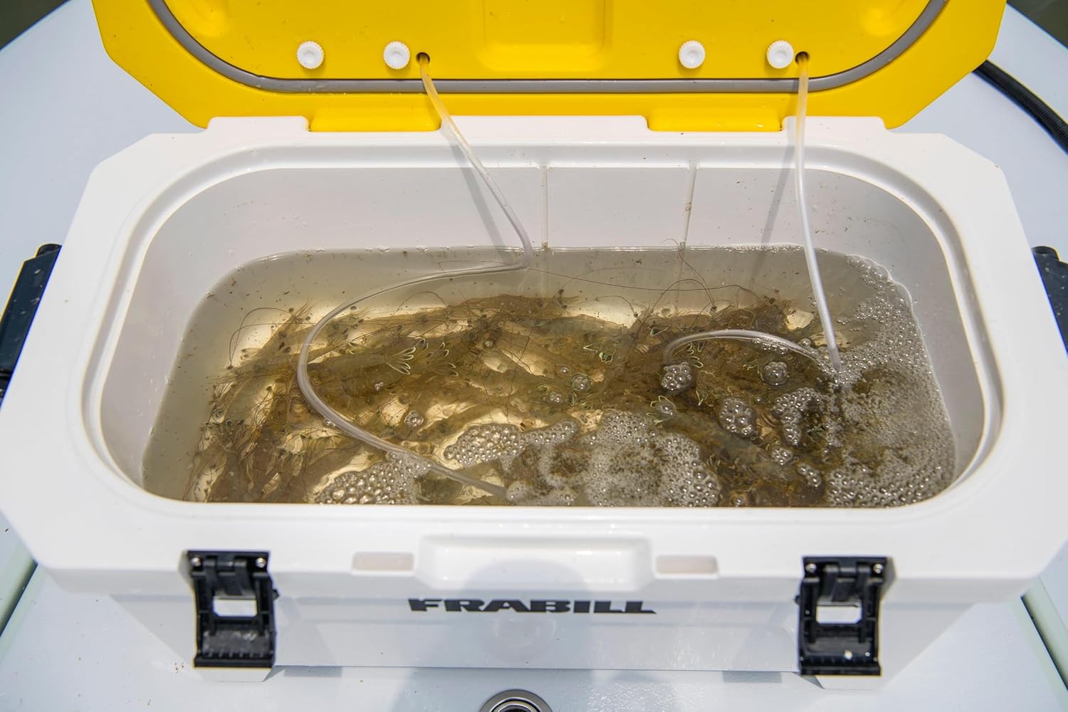 Frabill Bait Station - 30 Quart Bait with Dual Inflation, Gasket Closure for Watertight Seal