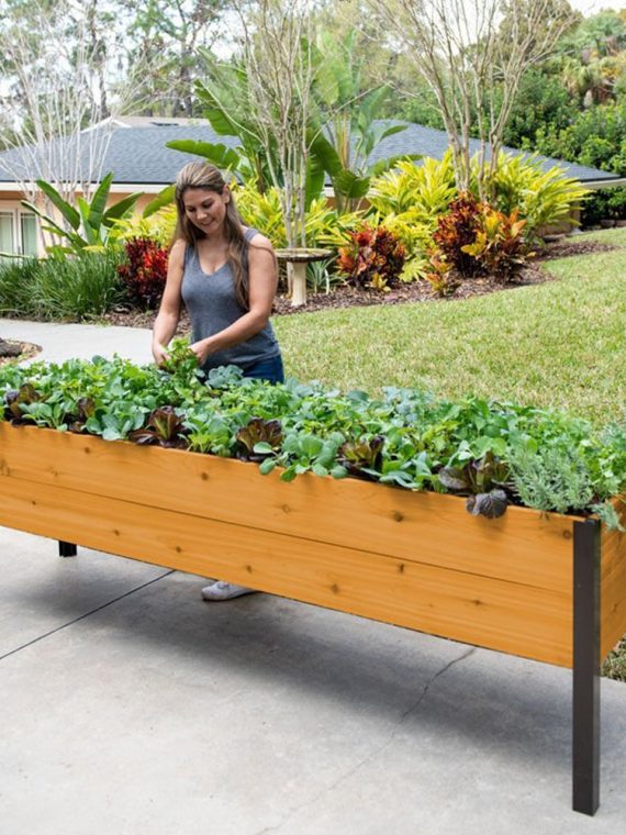 2026 Mart special today Last 30sets Self-Watering Eco-Stained Elevated Planter Box