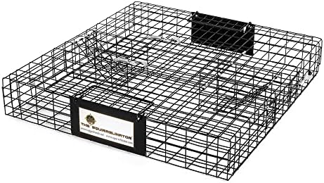 2026 Rugged Ranch Squirrelinator 2 Door Small Metal Wire Multi-Catch Live Animal Squirrel Catch & Release Cage Trap for Pest Control  Black