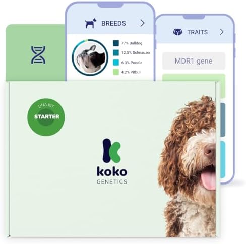 2026 DNA Test for Dogs Starter – (Breeds and Traits Reports) – Updates at no cost