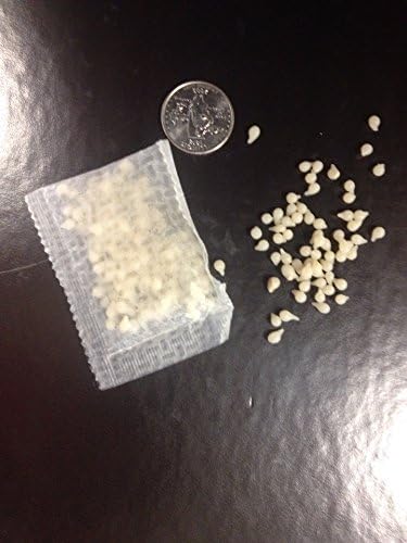 2026 Nematodes Organic Insect Control Pot Popper  Controls Fungus Gnats  8 Infusion Bio-Pouches per Popper (8 Million Nematodes) – No Refrigeration Required