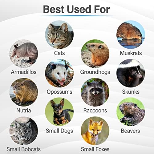 2026 Humane Way Folding 32 Inch Live Humane Animal Trap – Safe Traps for All Animals – Raccoons  Cats  Groundhogs  Opossums – 32′′x10′′x12′′ Black