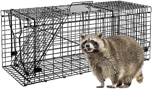 2026 VASALAID Live Animal Trap Cage  32′′ X 12′′ X 12.5′′ Catch and Release  Humane Live Trap Cage Indoor and Outdoor Foldable Live Trap for Raccoons Groundhogs  Stray Cats Squirrels  Rabbits  woodchucks