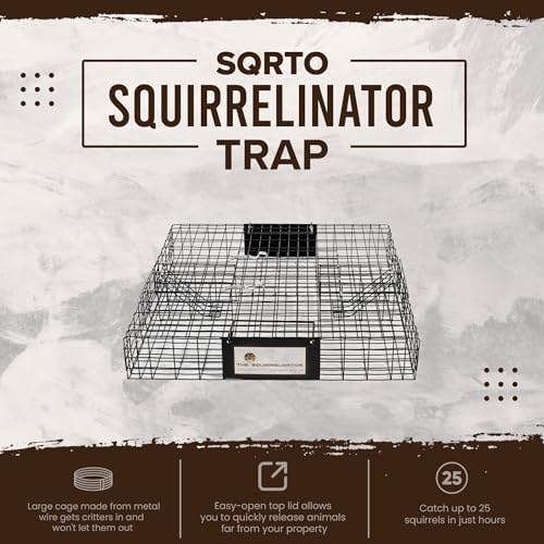 2026 Rugged Ranch Squirrelinator 2 Door Small Metal Wire Multi-Catch Live Animal Squirrel Catch & Release Cage Trap for Pest Control  Black