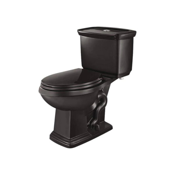 2-Piece 1.0 Gpf/1.28 GPF High Efficiency Dual Flush Elongated Toilet in Black