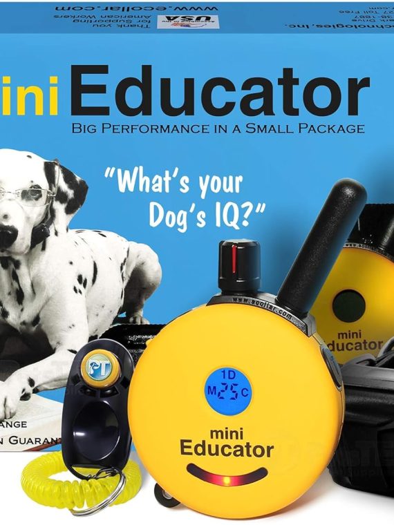 2026 E-Collar – ET-300-1/2 Mile Remote Waterproof Trainer Mini Educator Remote Training Collar – 100 Training Levels Plus Vibration and Sound – includes PetsTEK Dog Training Clicker