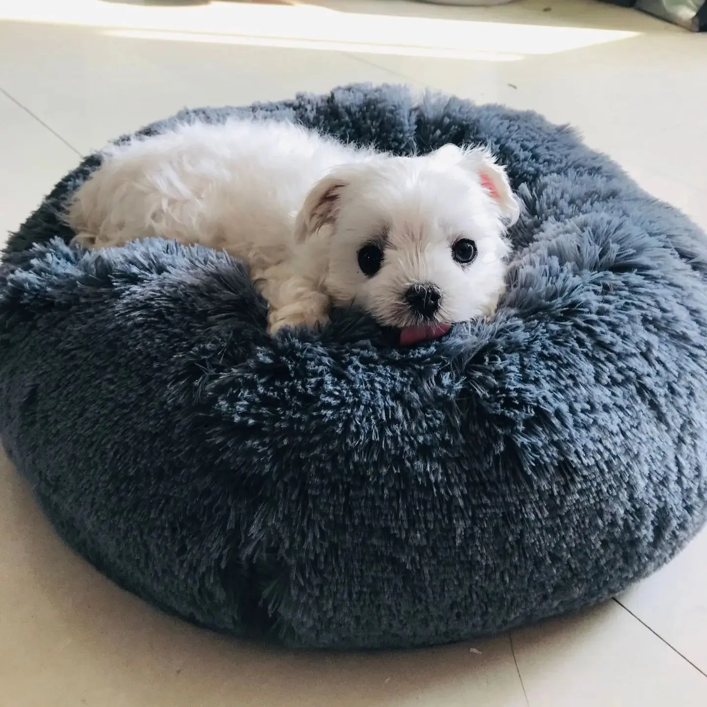 Dog And Cat Beds Puppy Couch Pet Calming Pillows For Anxiety