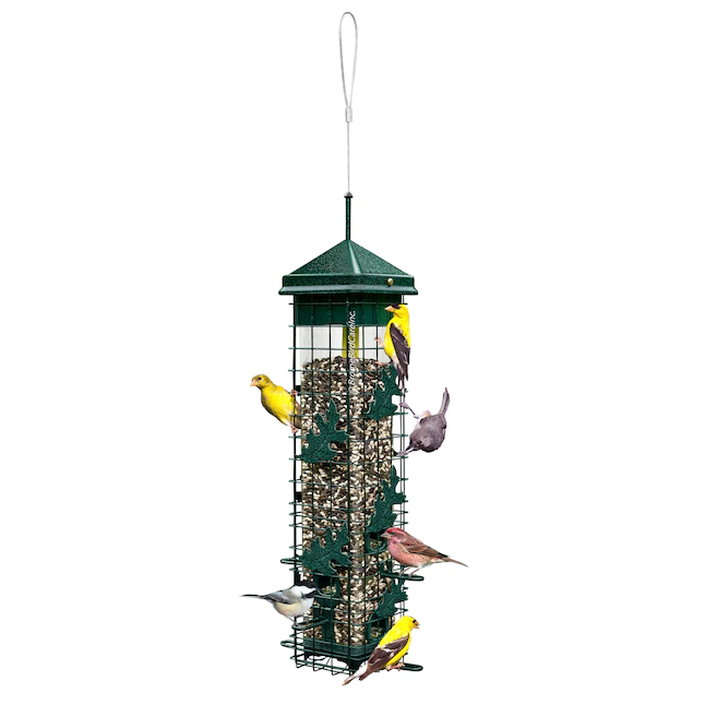 2026 Brome Squirrel Solution 200 Squirrel-Proof Wild Bird Feeder with 6 Feeding Ports, 3.4 lb Seed Capacity, Free Seed Funnel
