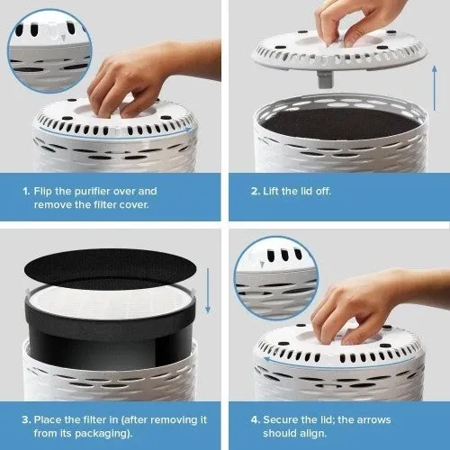 LEVOIT LV-H132 Air Purifier for Home with True HEPA Filter, Odor Allergies Eliminator for Smokers, Dust, Mold, Pets, Air Cleaner with Night Light, US-120V, 2 Pack, White, 2-Year Warranty (Renewed)