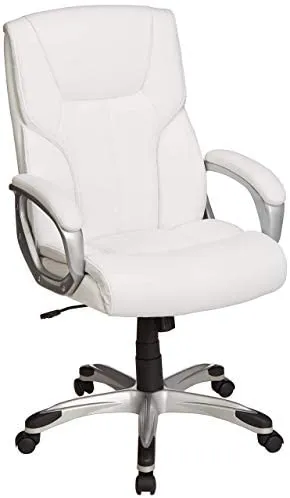 Executive Home Office Desk Chair with Padded Armrests- Black/Silver