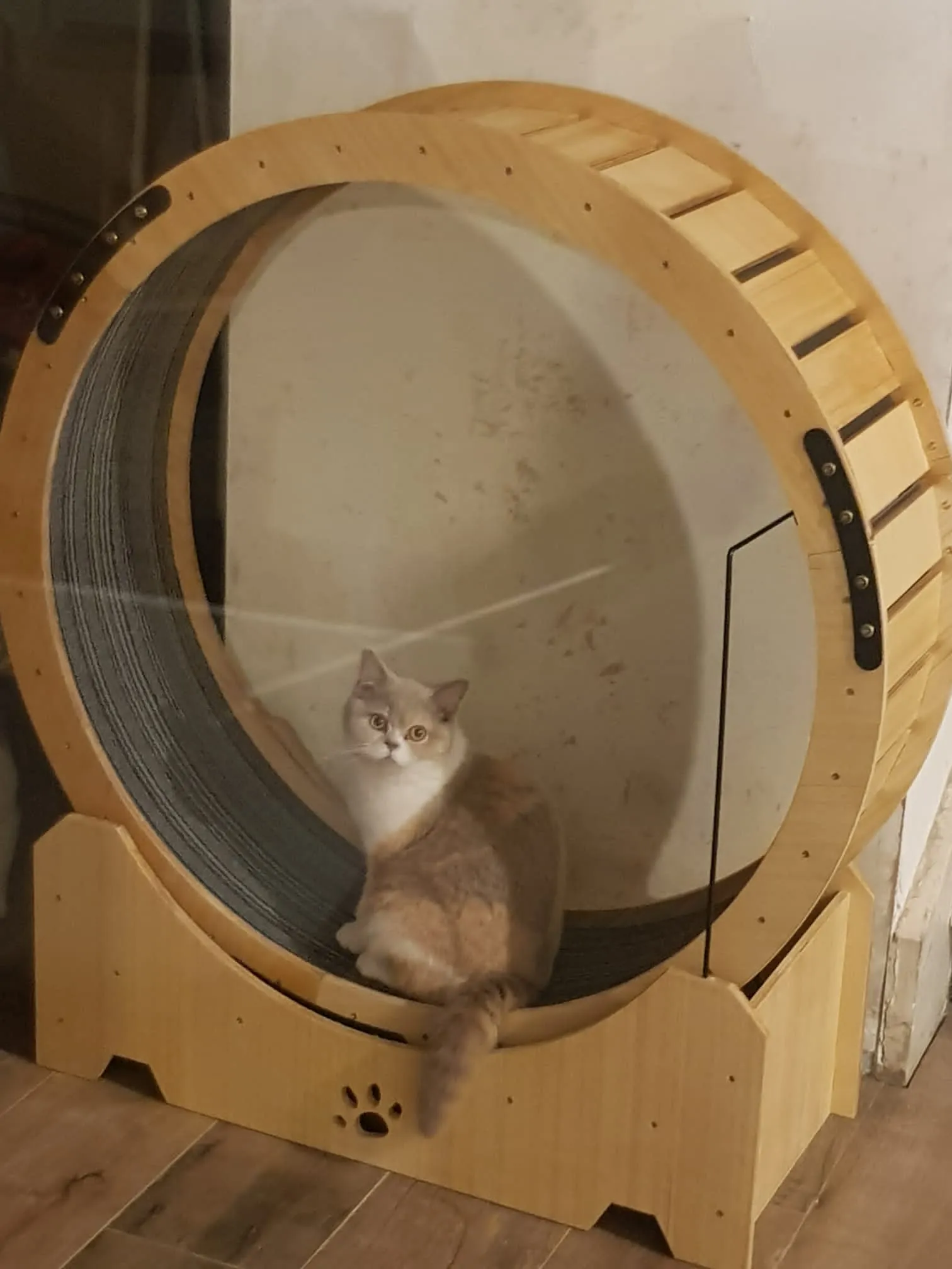 Cat Exercise Wheel 29.5