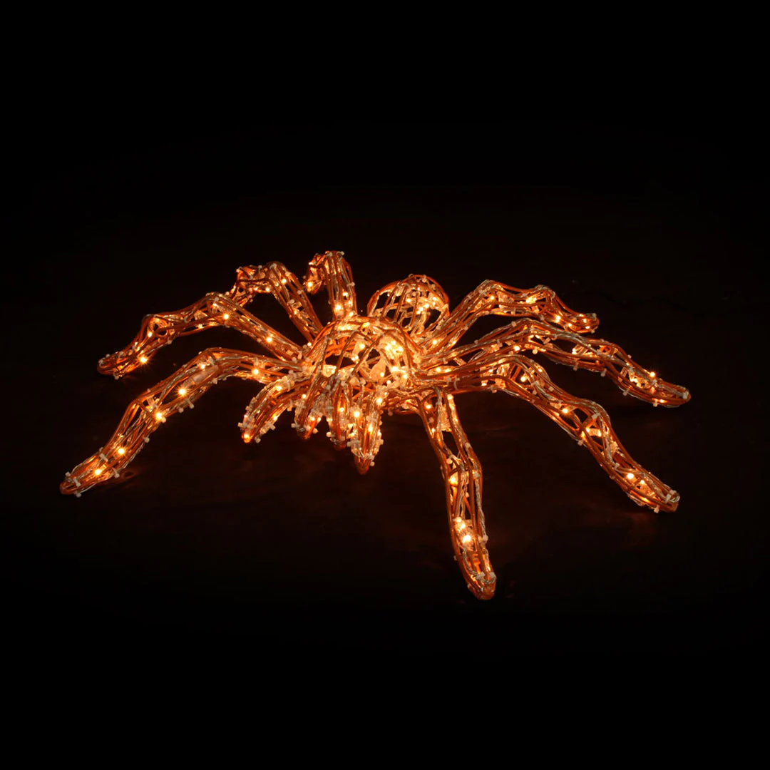 Spider