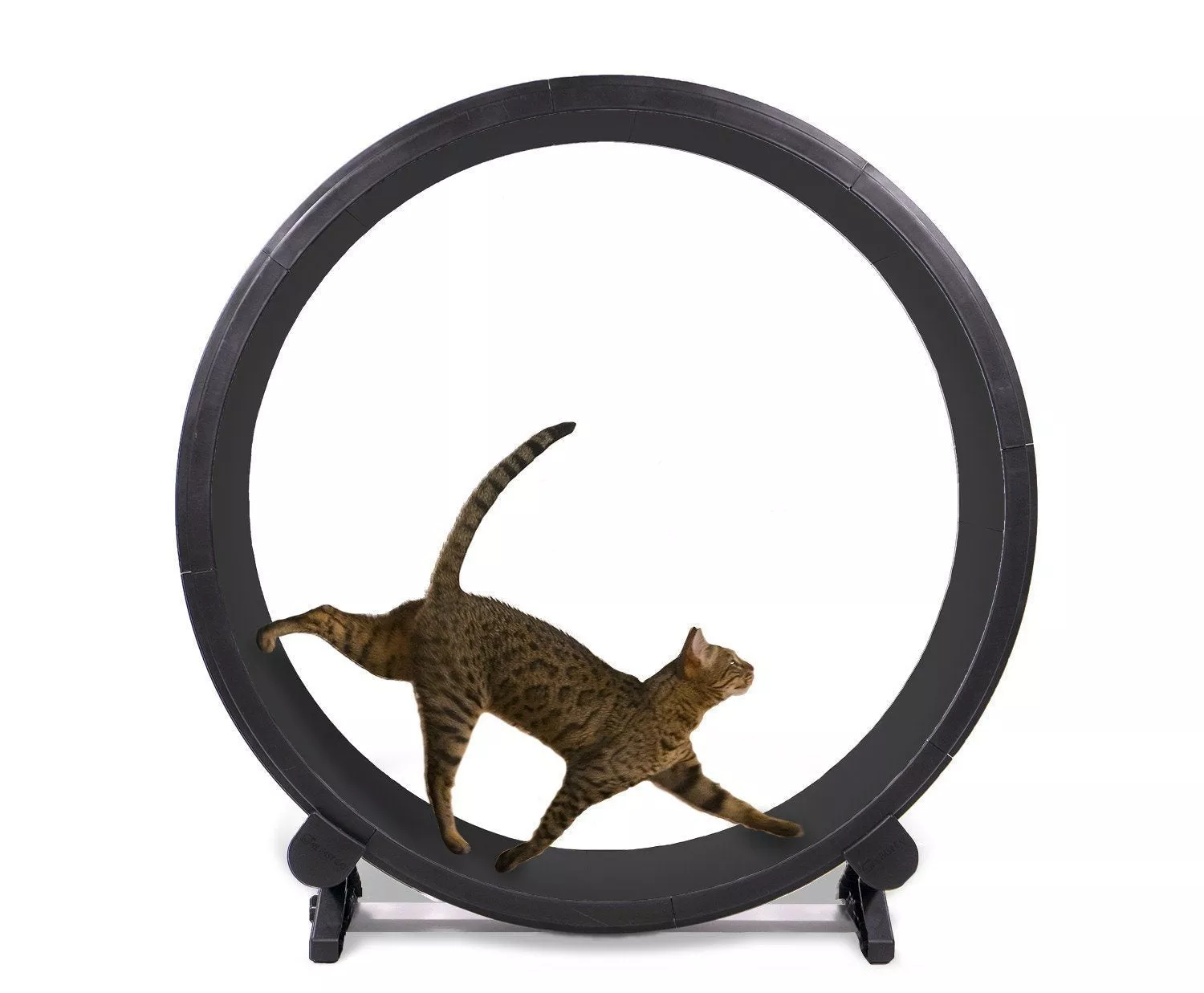 One Fast Cat Exercise Wheel 48