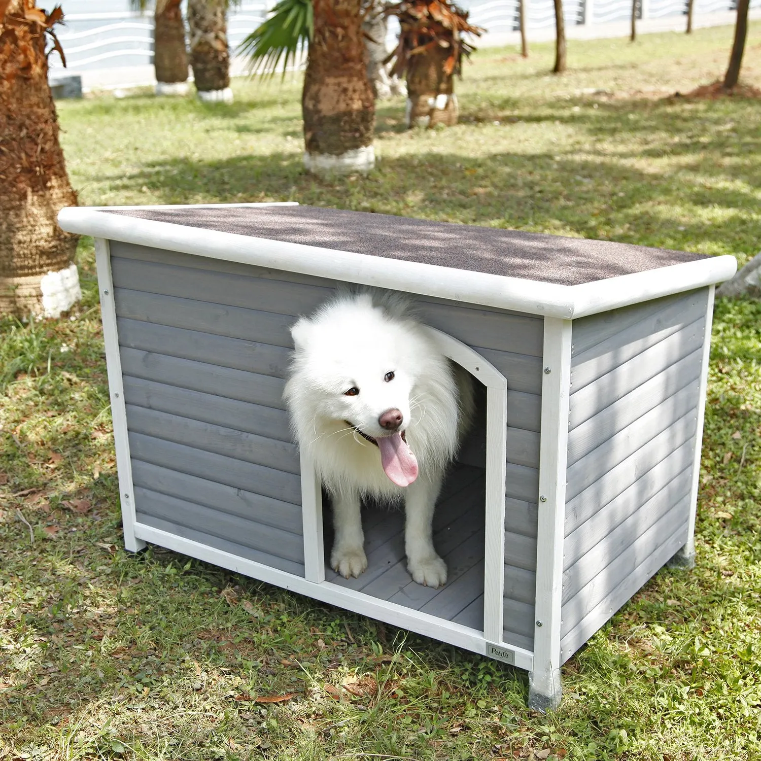 Petsfit Dog House, Dog House Outdoor