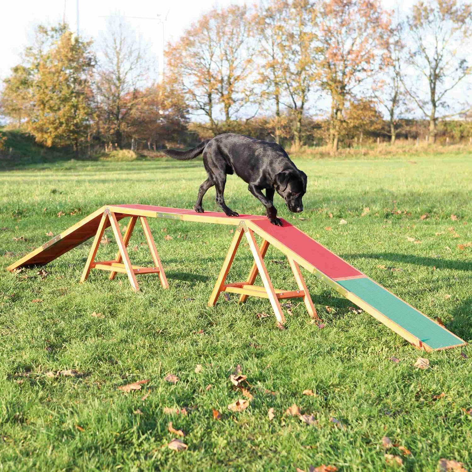 2026 TRIXIE Dog Agility Dogwalk, Canine Agility Training, Obedience Training