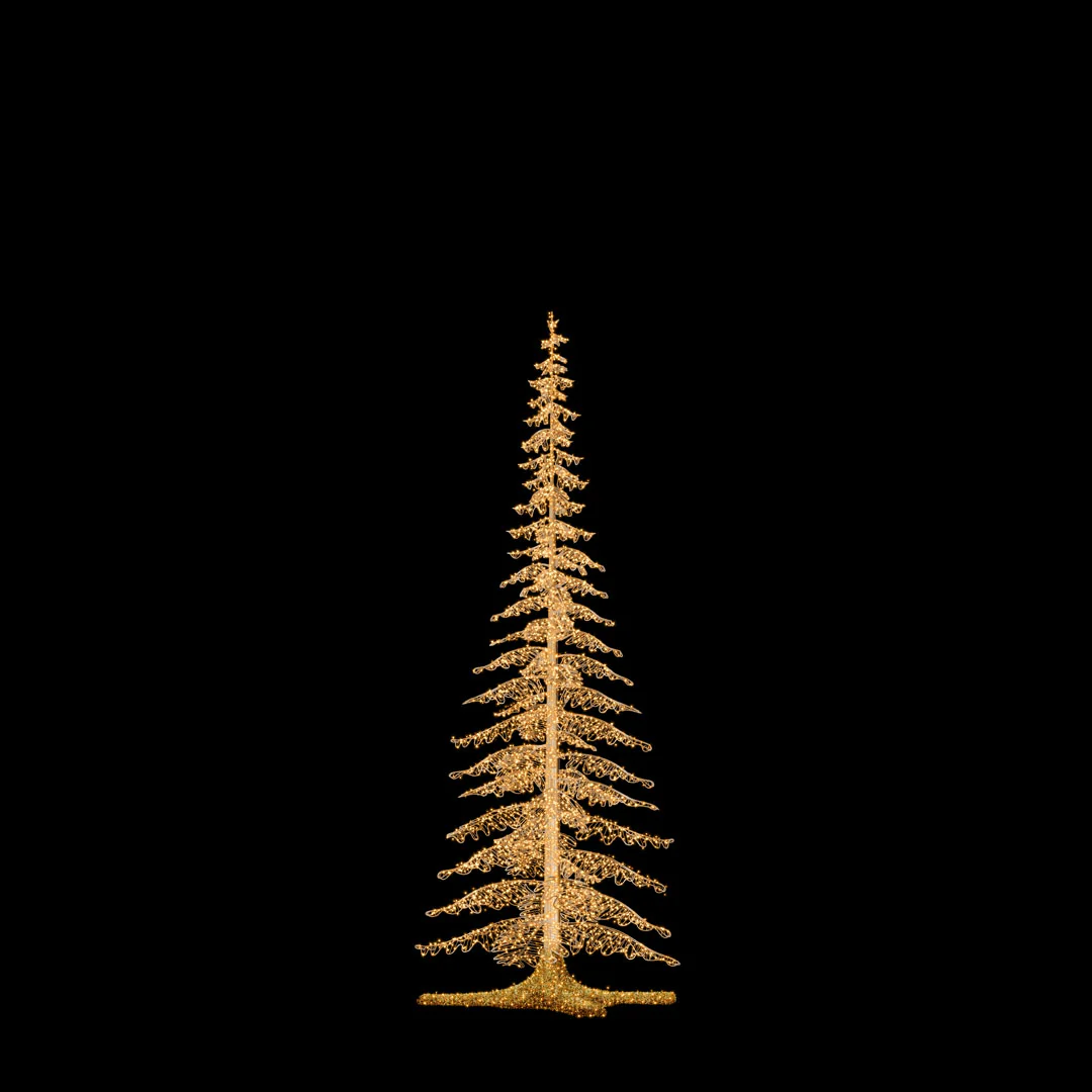 Fir Tree
