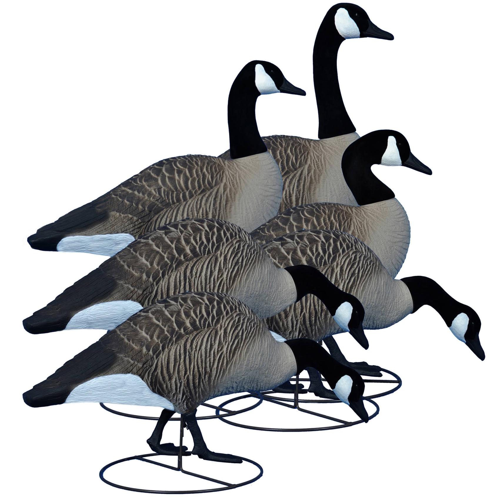 Higdon Alpha Magnum Full-Body Canada Goose Decoys, 6-Pack