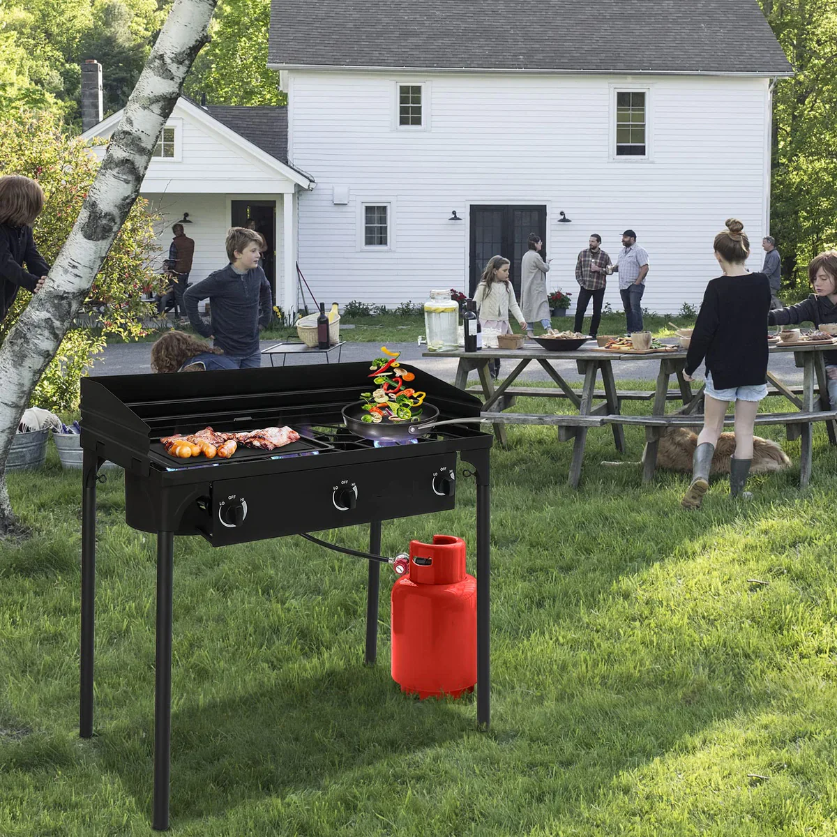 3 Burner 225,000 BTU Outdoor Gas Propane Stove with Windpanel & Carrying Bag