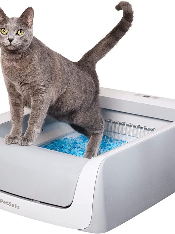 2026 PetSafe ScoopFree Automatic Self Cleaning Cat Litter Box, Includes Disposable Trays with Crystal Litter