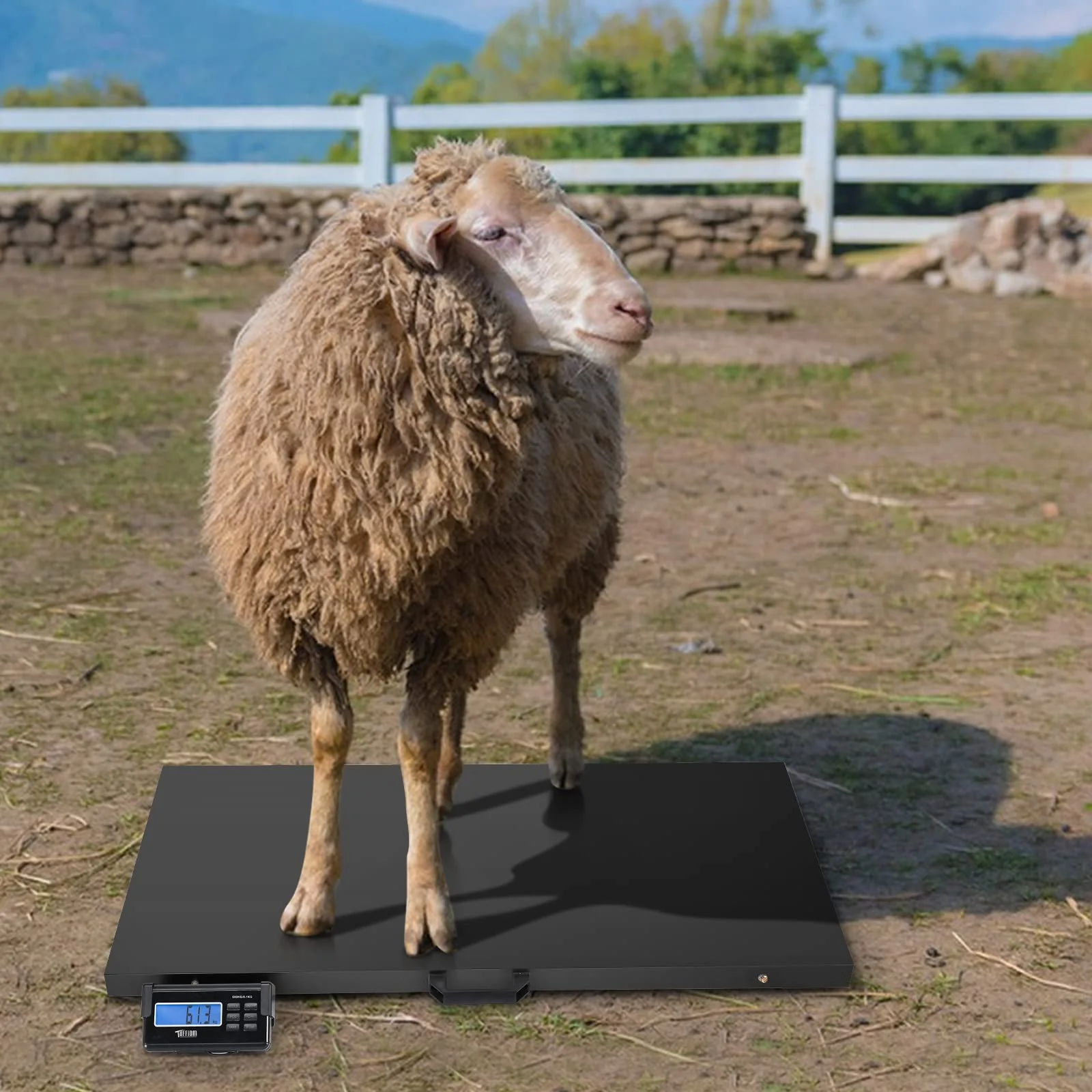 1100 LBS x 0.2 LBS Livestock Scale Electronic Platform Scale for Dog Goat Sheep Black