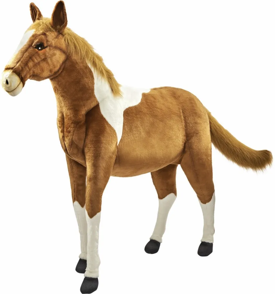 Pony 150 cm.L