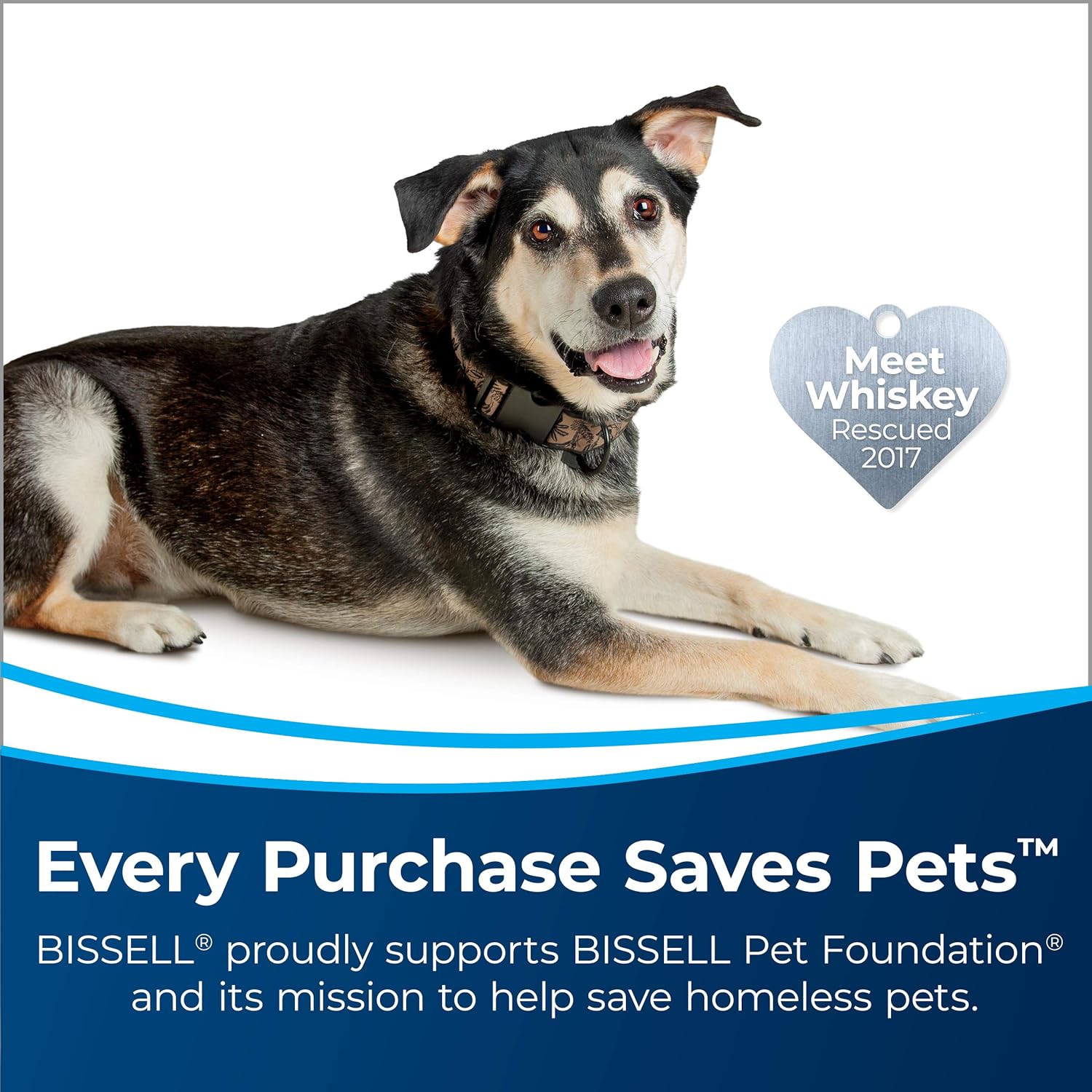 2026 Bissell TurboClean PowerBrush Pet Carpet Cleaner  2987 Green/ Black large