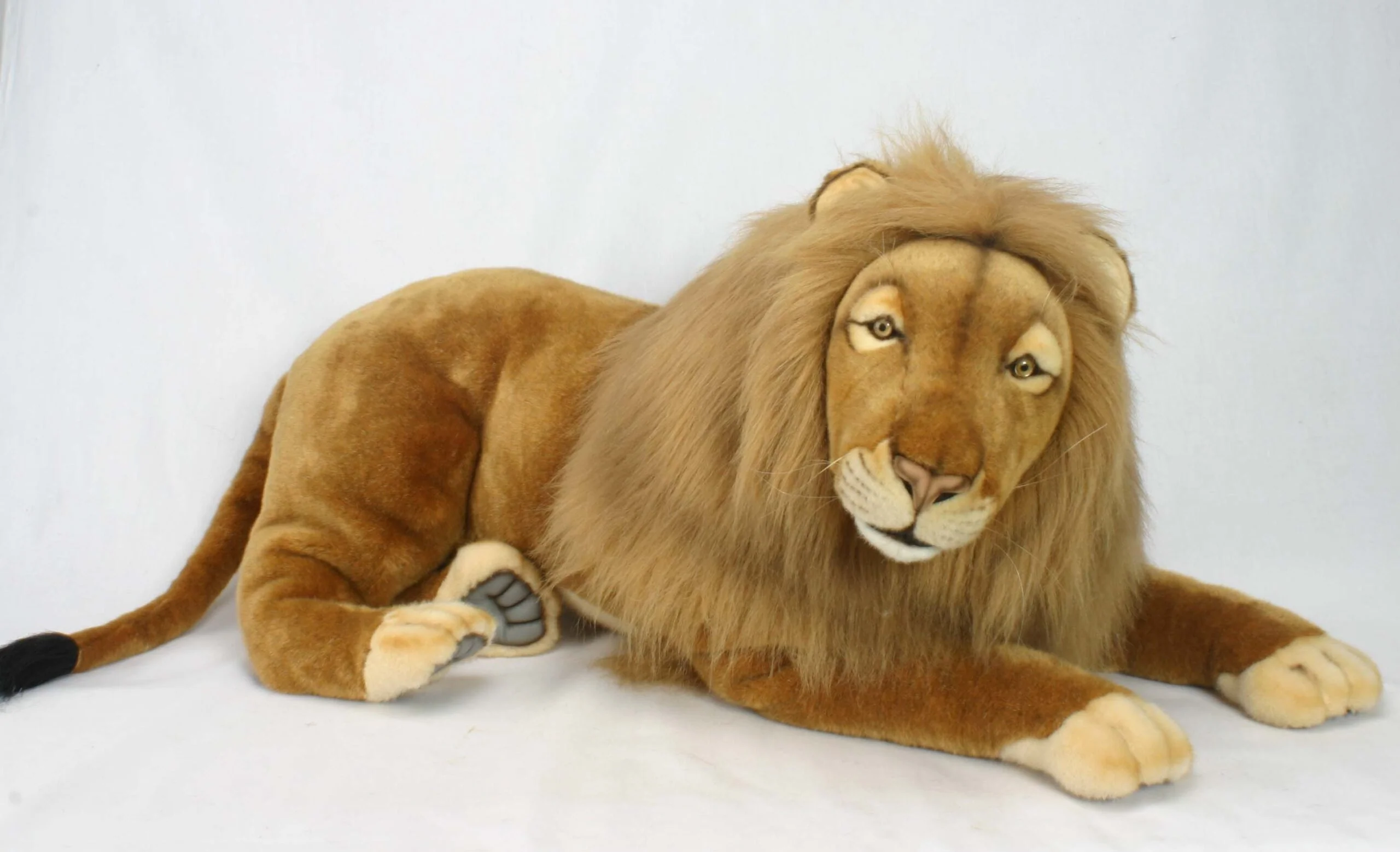 Lion Male 100 cm.L