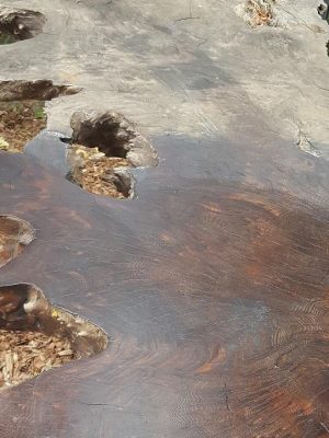 2025 Ozark Trail 14-Person Cabin Tent for Camping